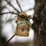 dollar demand declining